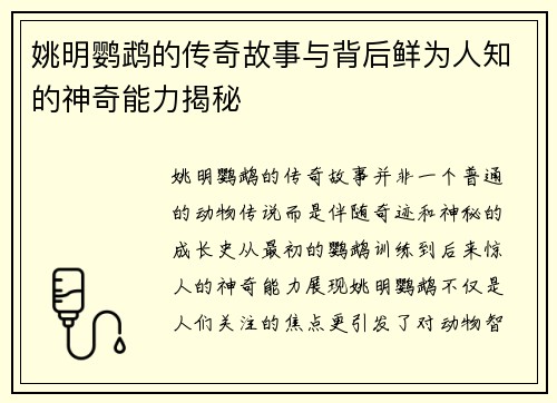 姚明鹦鹉的传奇故事与背后鲜为人知的神奇能力揭秘